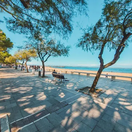 Superb Studio With Sea View * Arcachon